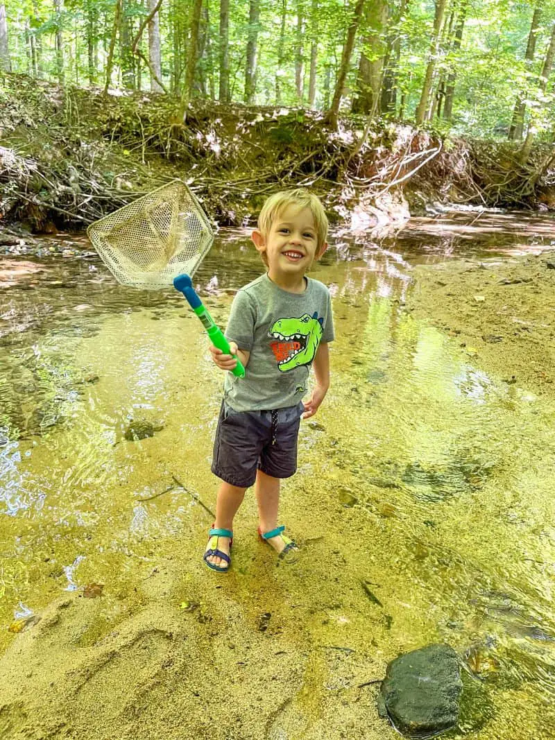 Little boy at standing in creek holding net and smiling.