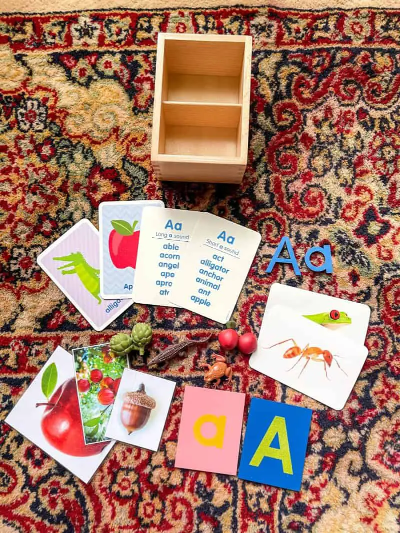 Letter A alphabet box. Image shows a box with pictures of things that start with the letter A along with figurines that start with A and cards with the letter A.