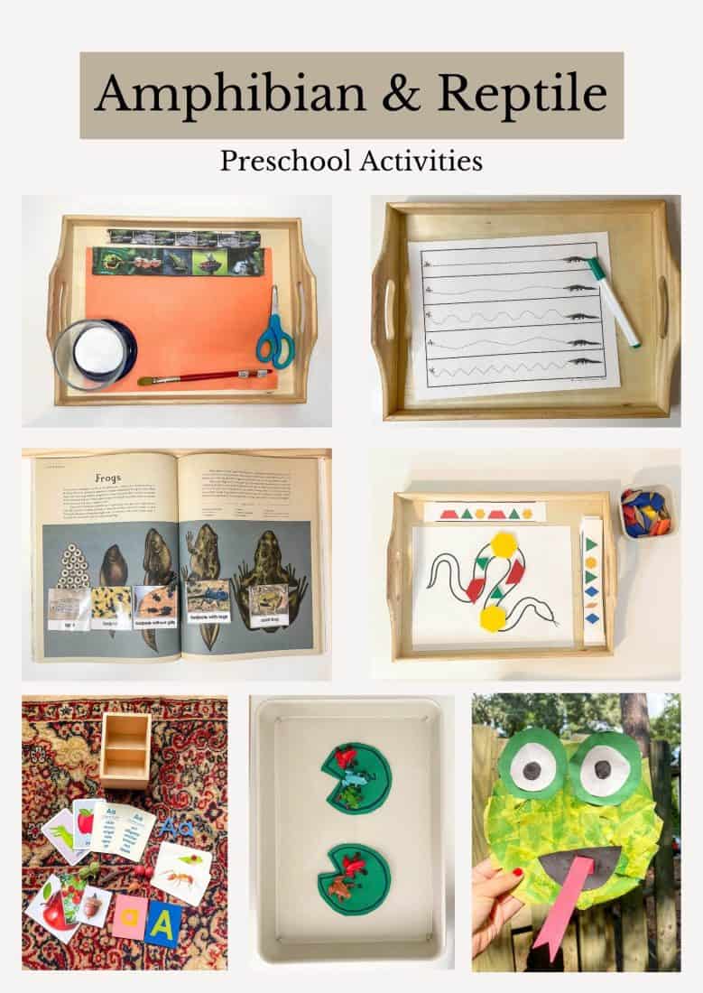 Amphibian and Reptile preschool activites 