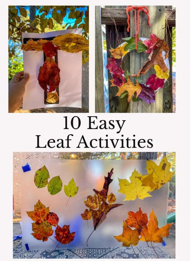 10 Easy Leaf Activities