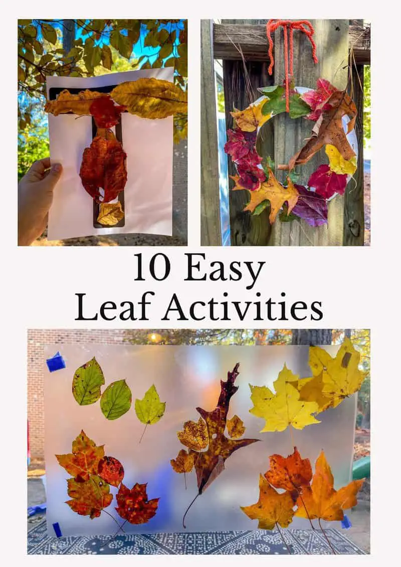 Leaves Kids Activites