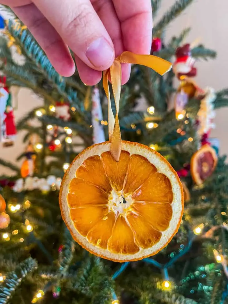 Dried orange slice strung on a gold ribbon in front of a Christmas tree.