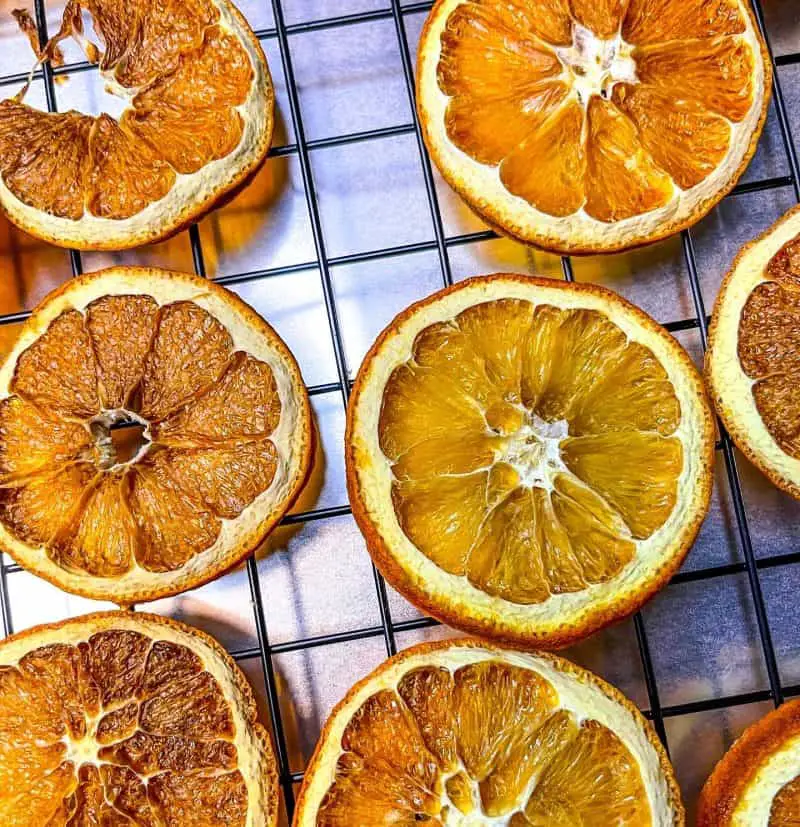 Rows of dried orange slices on a cooling rack