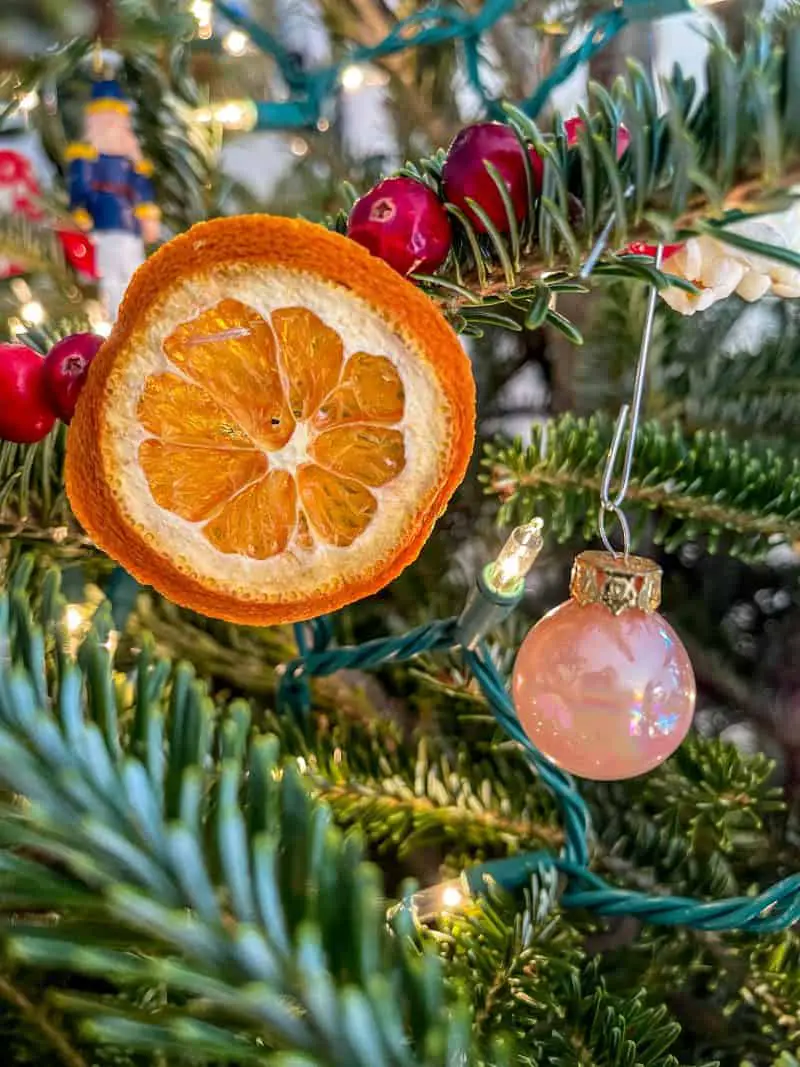 Close up of dried orange on a dried fruit garland. It is strung on a Christmas tree with white lights and a small pink and iridescent bulb ornament.
