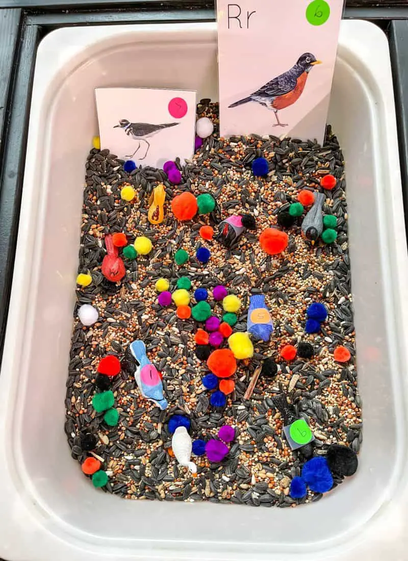 Bird Themed Counting Activity