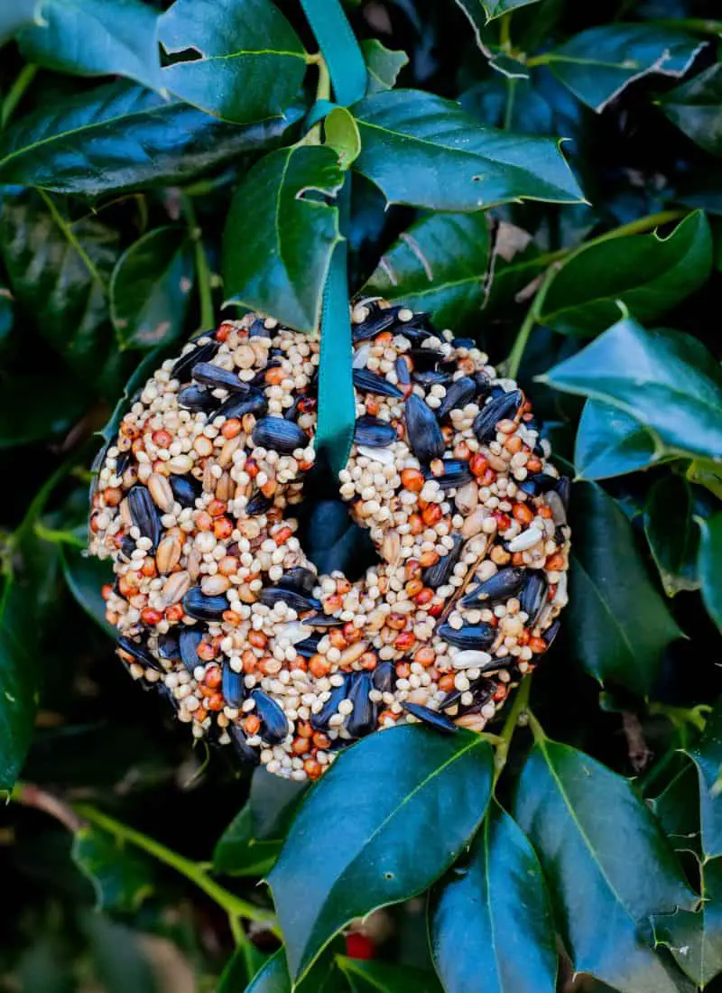 How to Make Birdseed Ornaments