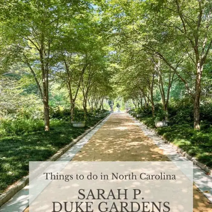 Sarah P. Duke Gardens
