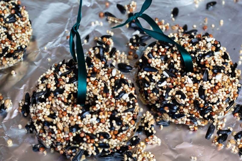 Birdseed ornaments strung with a green ribbon laying on foil.