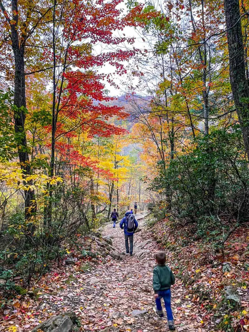 kid running on hiking trail in the fall