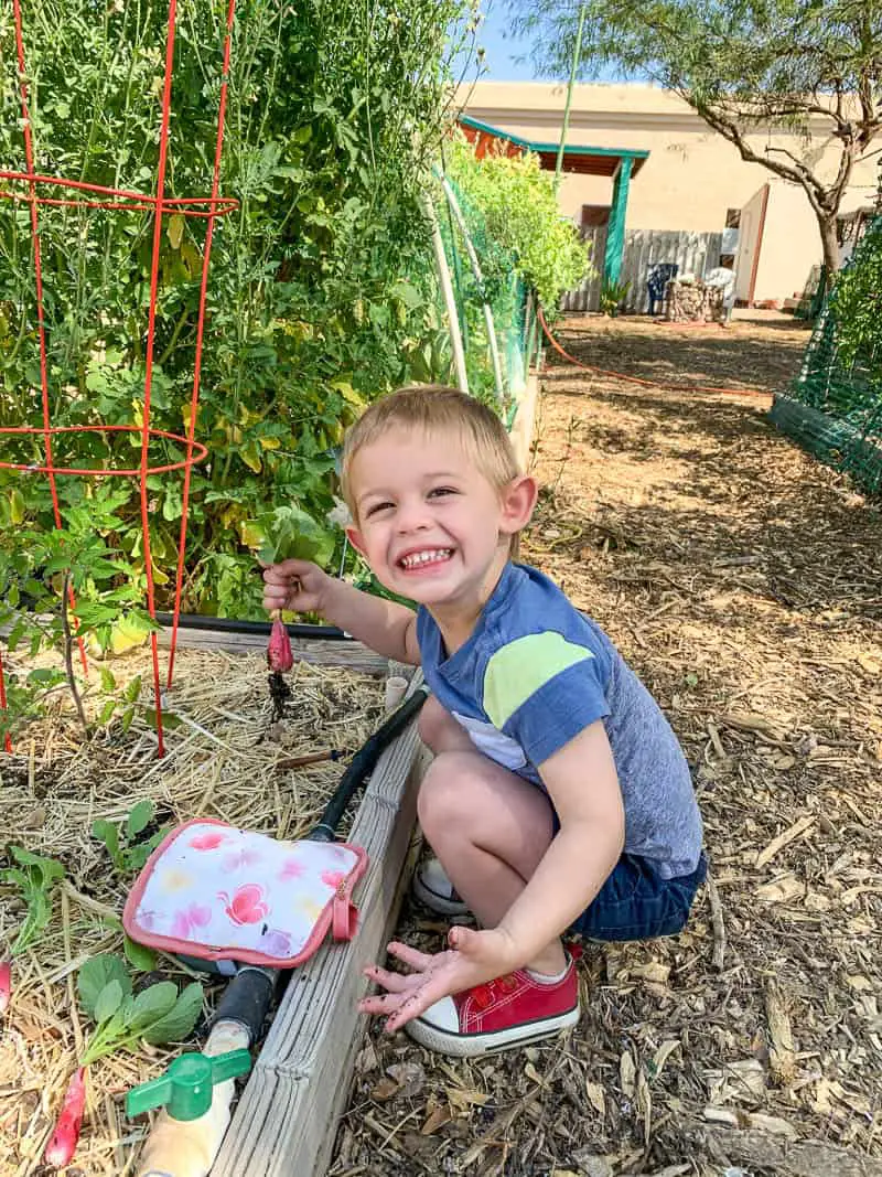 Gardening with Toddlers: Tips, Tricks, and Veggies