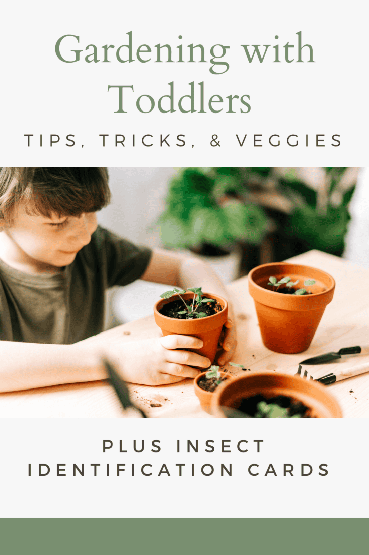 Gardening with Toddles. Tips, Tricks, and Veggies