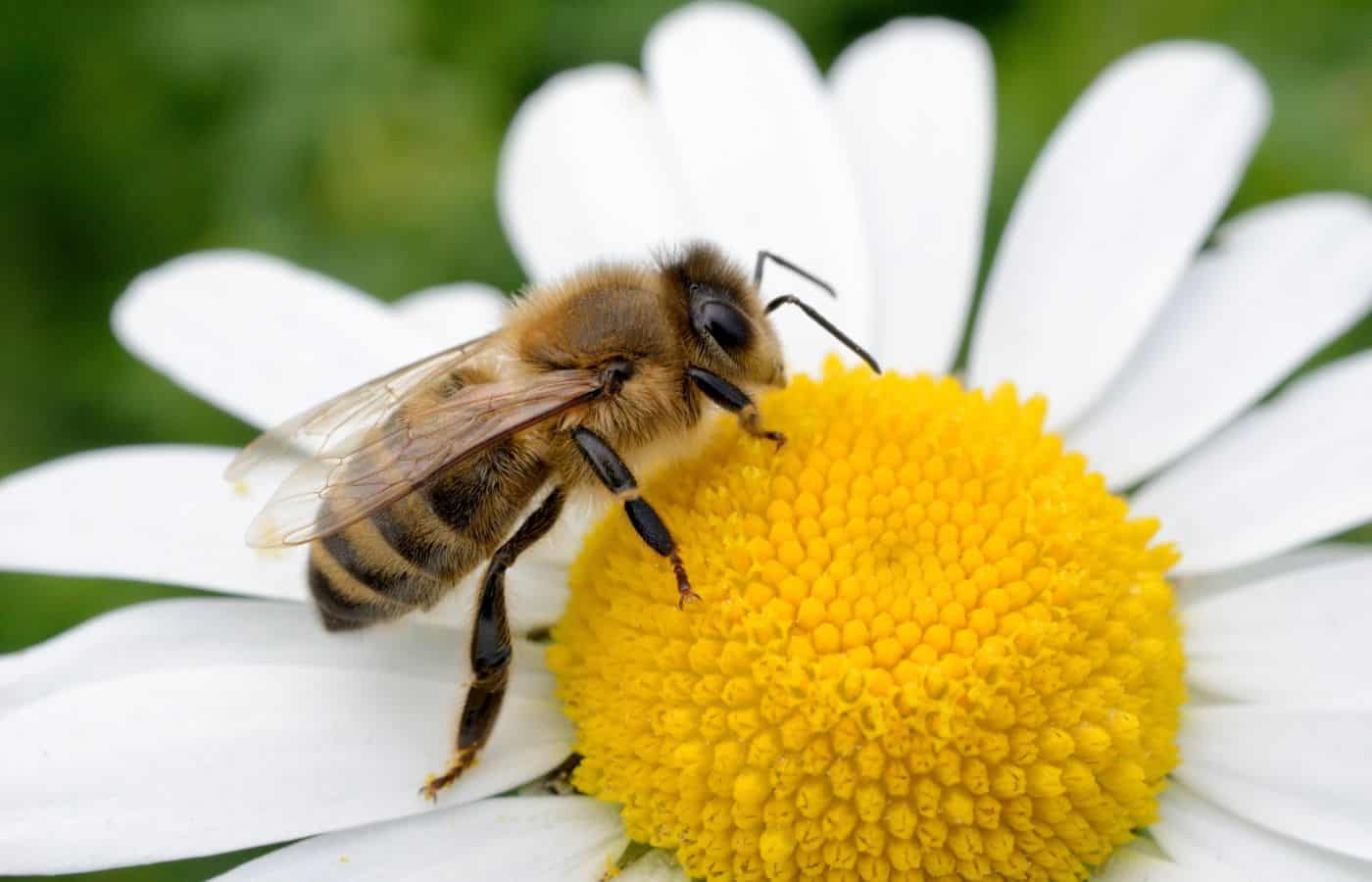 40 Spring STEM Activities for Kids