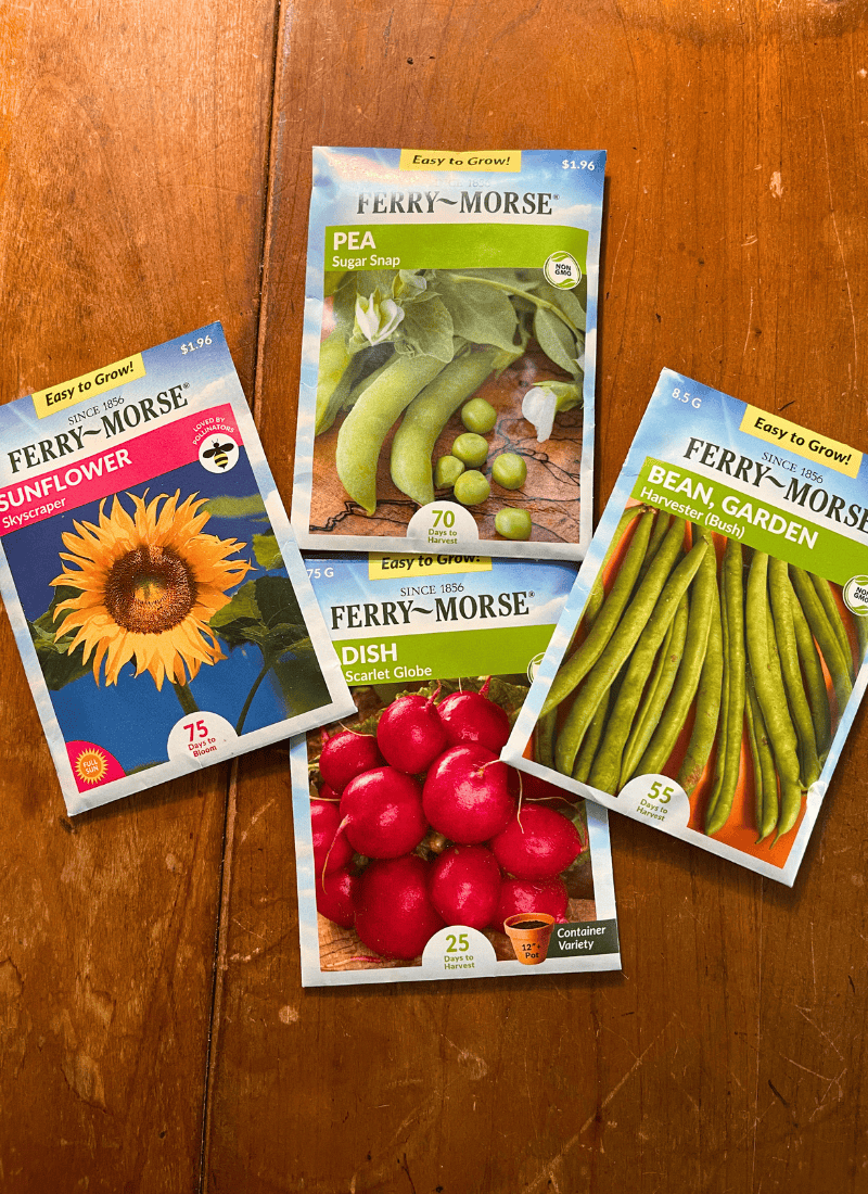 Four seed packets on atable. (Radish, sunflower, pea, green beans)