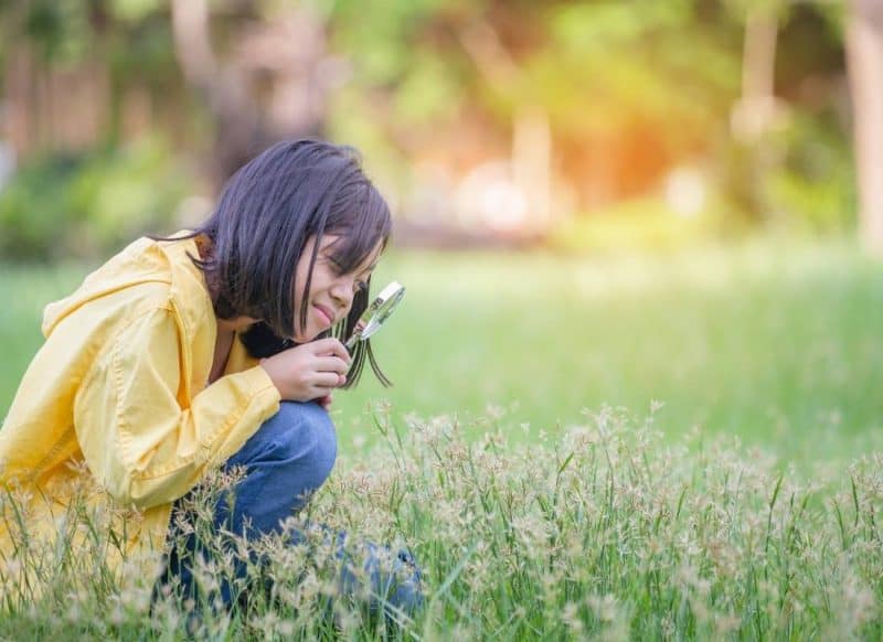Girl learning outside with a magifiying glass looking at insects 
